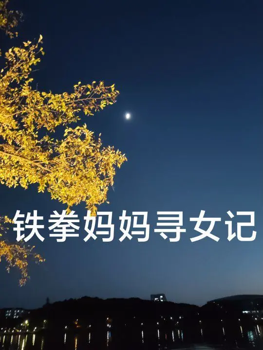 《铁拳妈妈寻女记》：当母爱化为钢铁，一场热血沸腾的寻亲之旅！