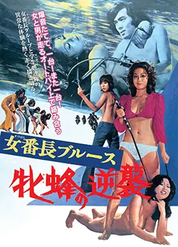 《女番长布鲁斯：雌蜂的逆袭》：热血青春的呐喊，暴力美学的极致绽放！